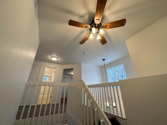 Building Photo - 23736 Broadmoor Dr