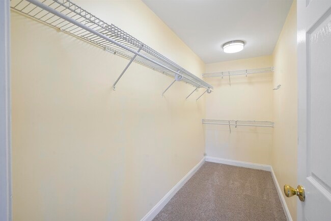 Building Photo - 80 Lyon Ct