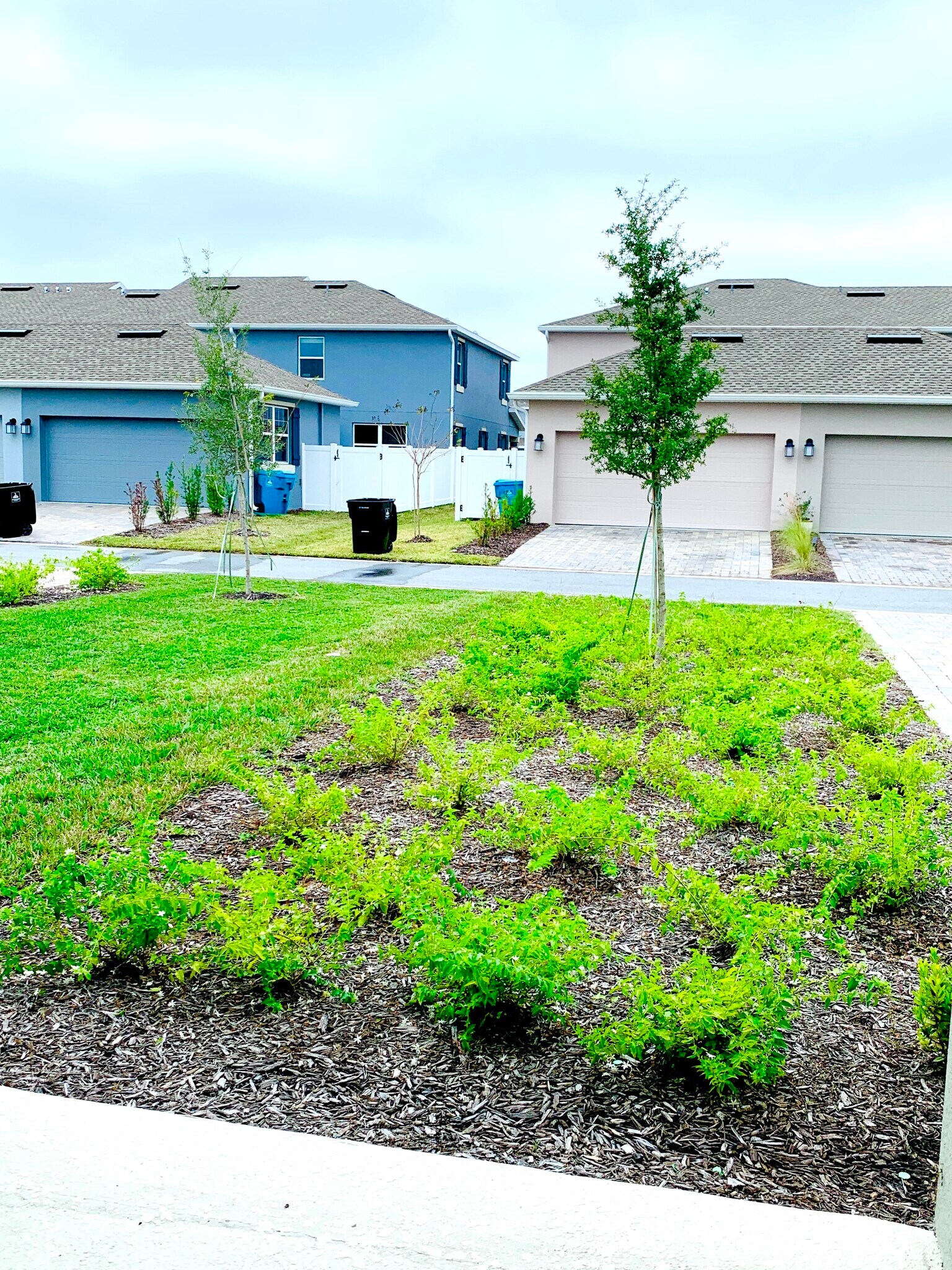 Building Photo - 12018 Language Way