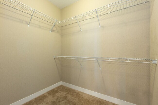 Building Photo - 6bd/4.5 bath home in Southwest Longmont!