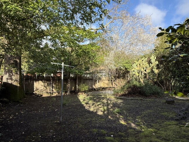 Building Photo - Charming 2 Bedroom San Anselmo Home