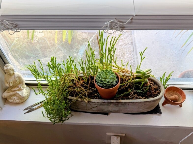 Building Photo - 3004 E 18th St