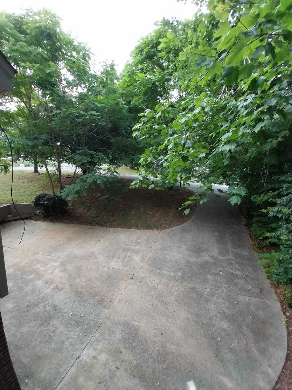 Plenty of parking plus garage - 3239 Sunnymede Ln