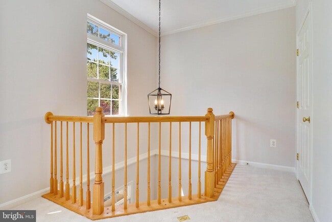 Building Photo - 4037 Fairfax Center Hunt Trail
