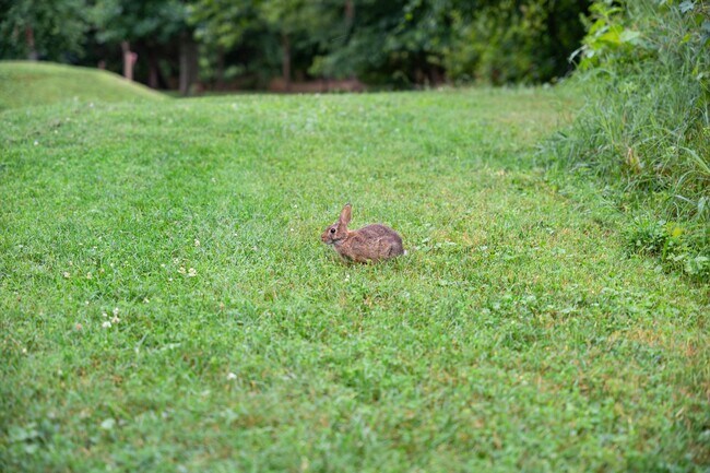 Building Photo - 5300 Columbia Pike