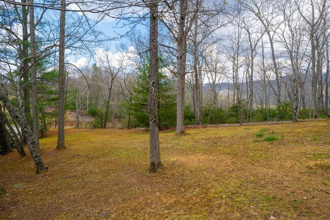 Building Photo - Fairview Retreat | 3BR/3BA with Finished Basement, 2-Car Garage & Private Yard — 17 Min to Asheville
