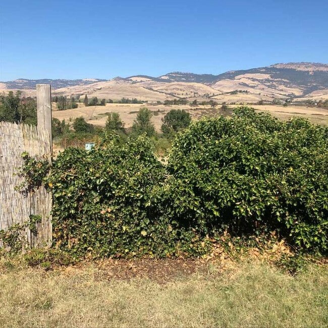 Building Photo - 203 N Wightman St