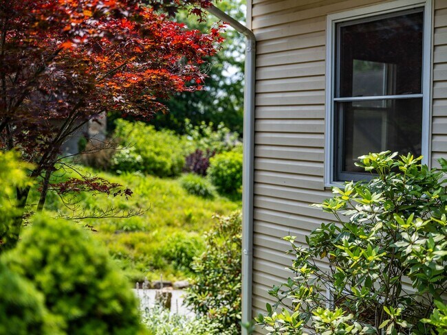 Building Photo - Asheville Rental-Kenilworth Area!