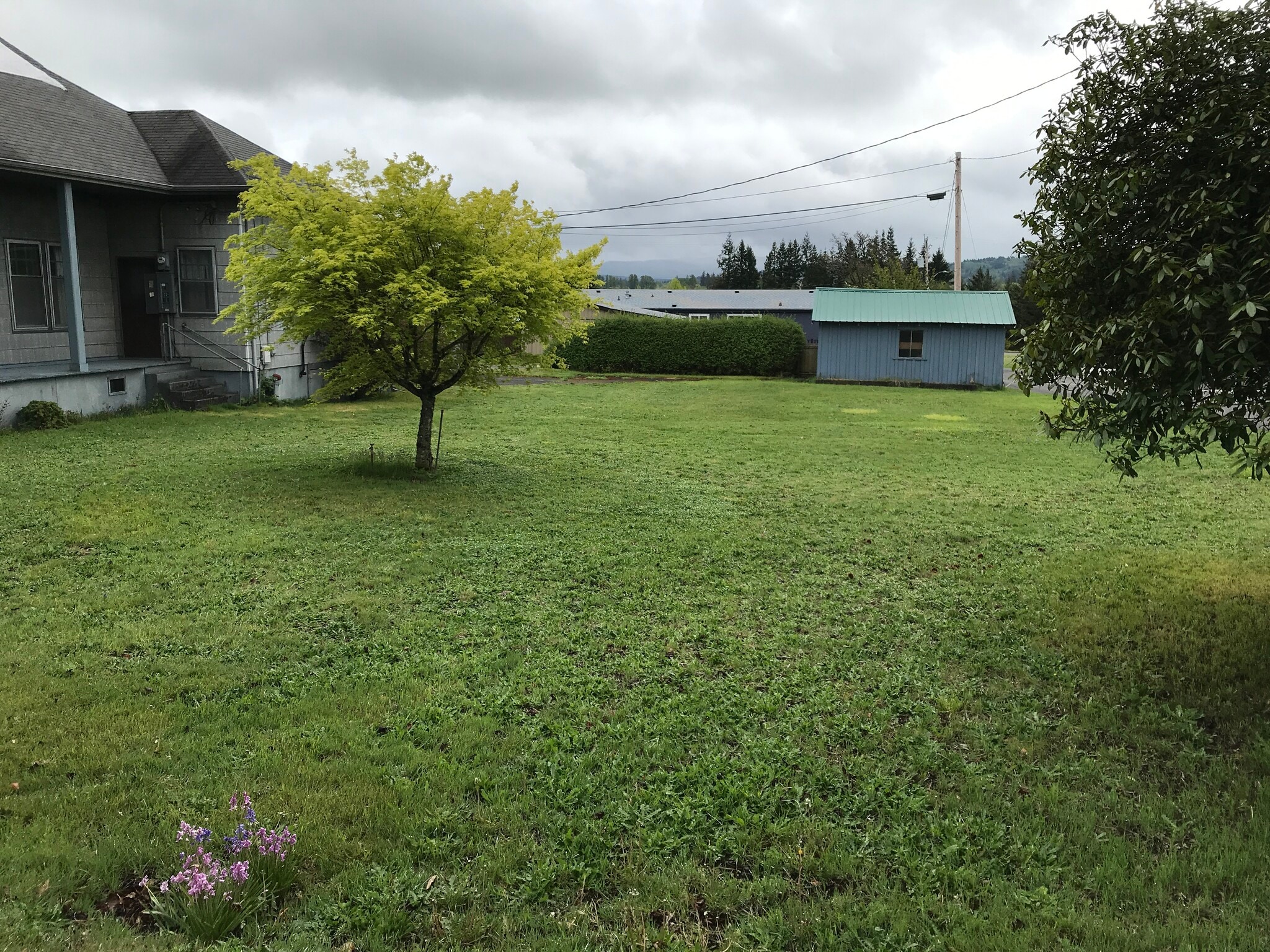 View of yard from corner - 615 W Main St