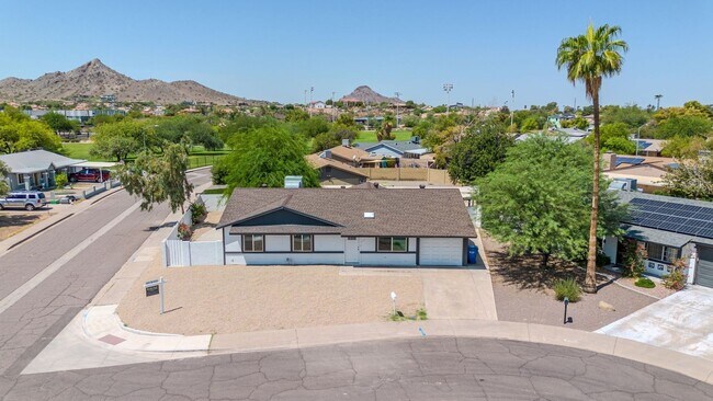 Building Photo - 3330 E Gelding Dr