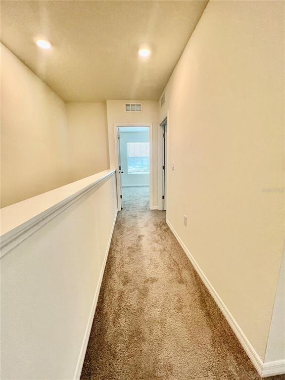 Building Photo - 32557 Turtle Grace Lp