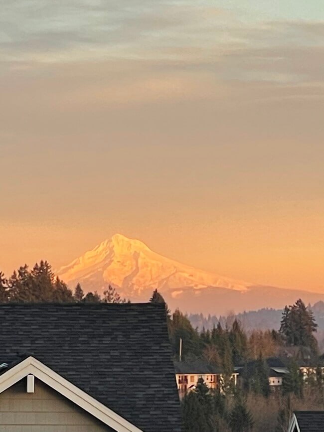 Building Photo - 12050 SW Autumnview St