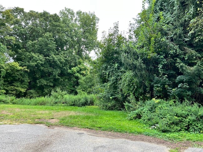 Building Photo - 38 Lanesville Rd