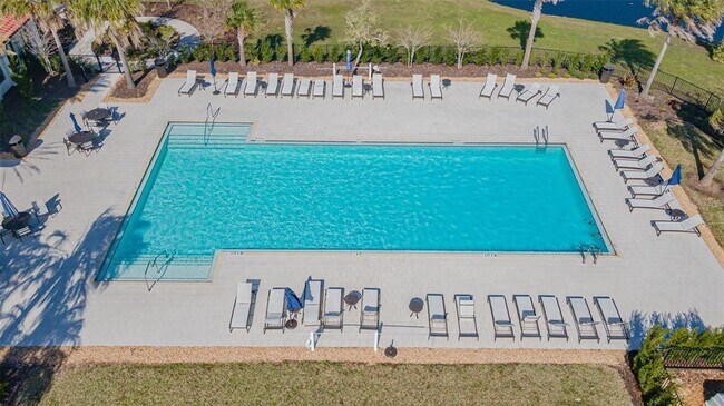 Building Photo - 3615 Savanna Palms Ct
