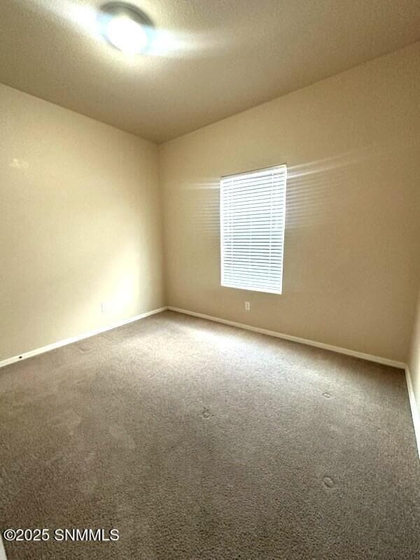 Building Photo - 4529 Hillsboro Loop