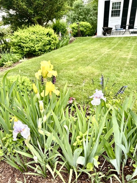 Building Photo - 278 Main St