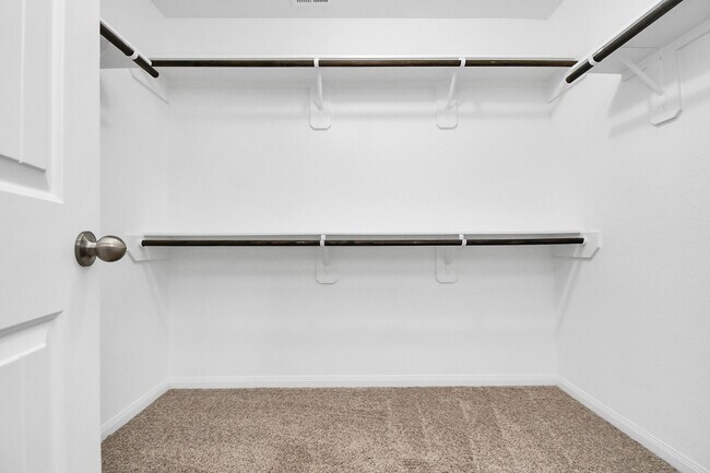 Building Photo - 3206 Alberelli Dr