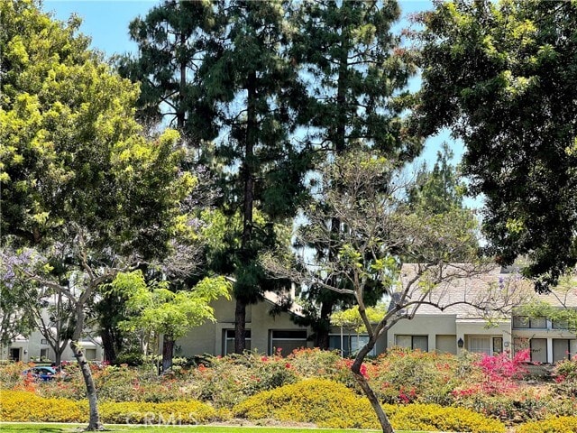 Building Photo - 3 Rushingwind