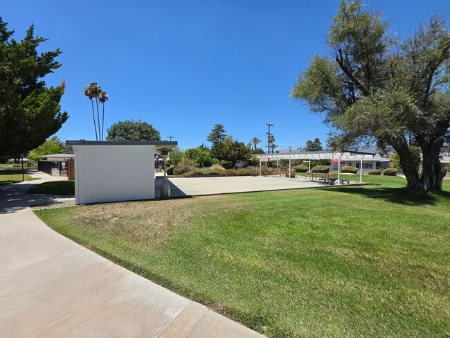 Building Photo - 55+ Community Two Bedrooms One Bath
