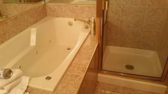 Tub and shower - 1827 Wilmette Ave