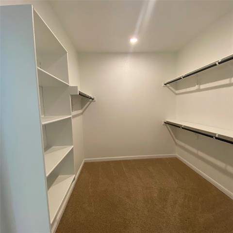 Building Photo - 527 Golden Bell Dr