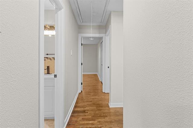 Building Photo - 3520 Sidney Dr