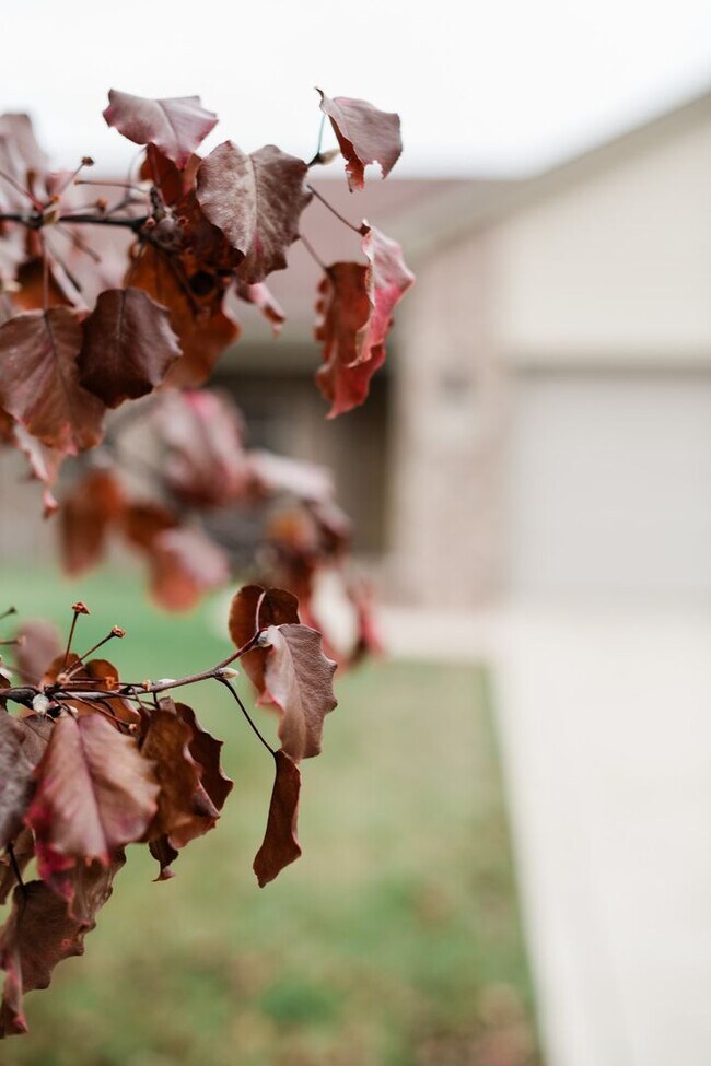 Building Photo - 3 bedroom / 2 bathroom Duplex for rent in Hobart