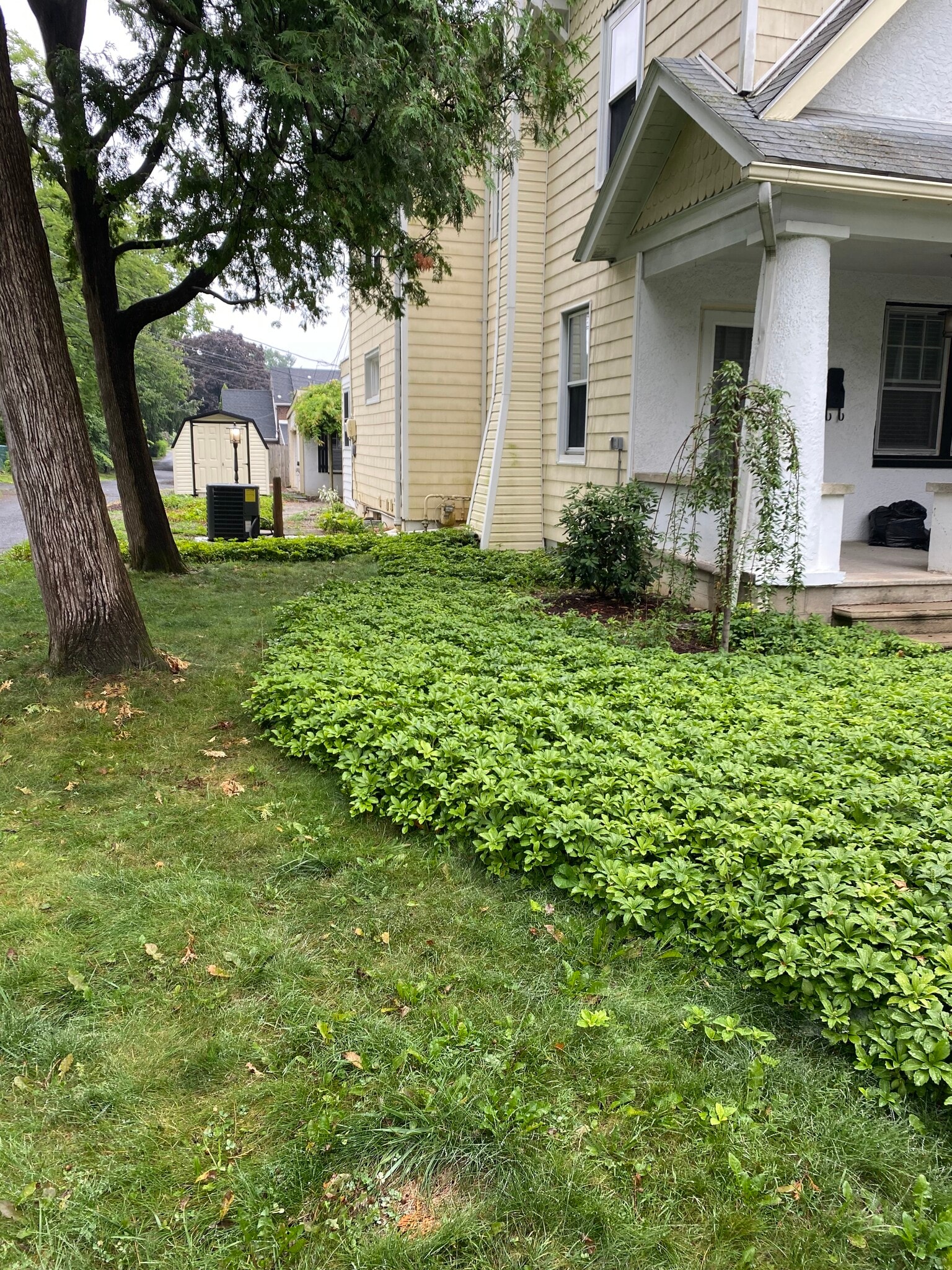 Side Yard - 30 S Muhlenberg St