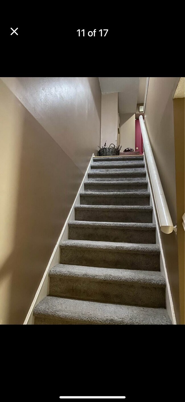Building Photo - 4000 Charlemagne Cir