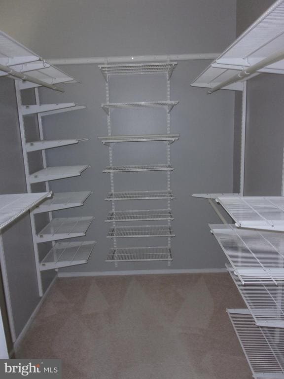 Building Photo - 12114 Quorn Ln