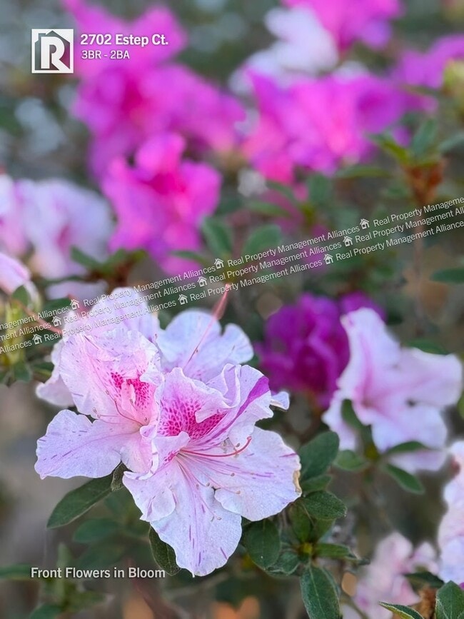 Building Photo - 2702 Estep Ct