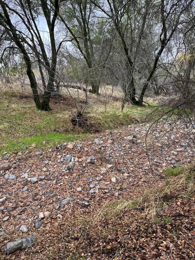 Building Photo - Beautiful Foothil Views Available Now!