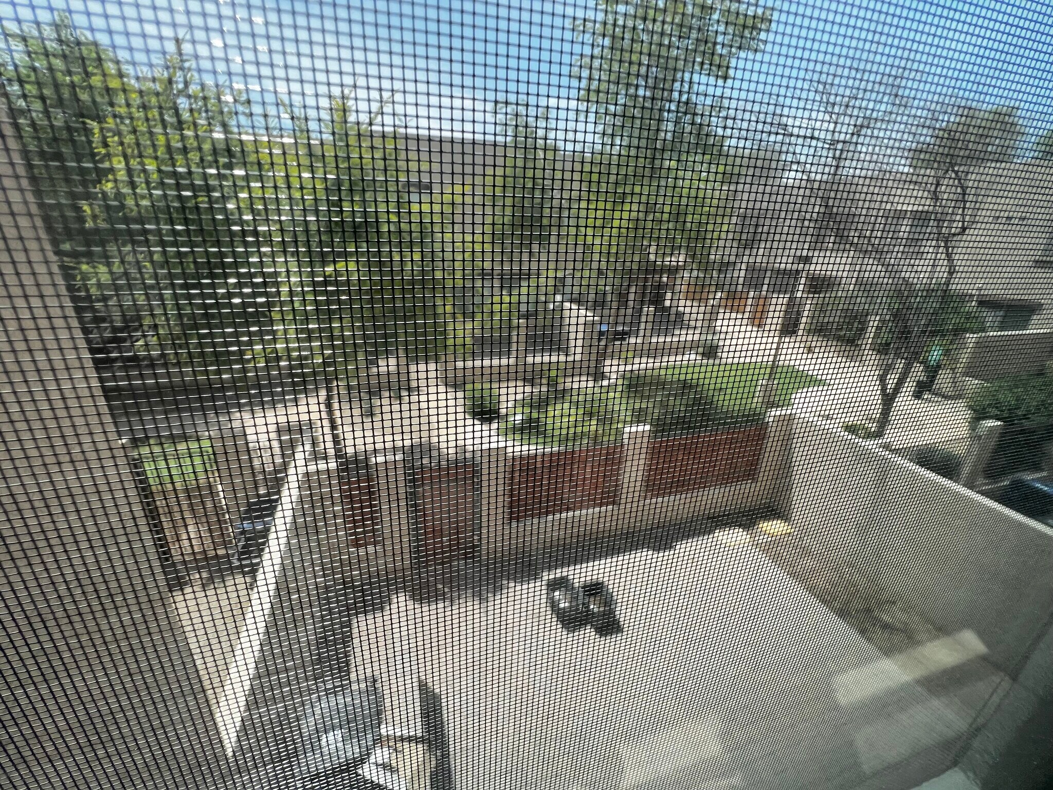 Building Photo - 1886 E Don Carlos Ave