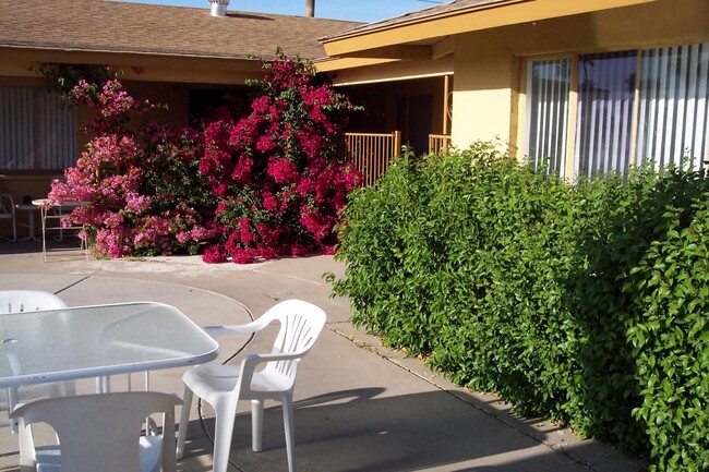 Building Photo - Upgraded Studio in Loma Linda, $840