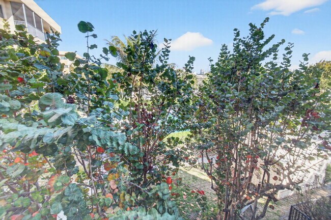 Building Photo - 50 SW 3rd Ave