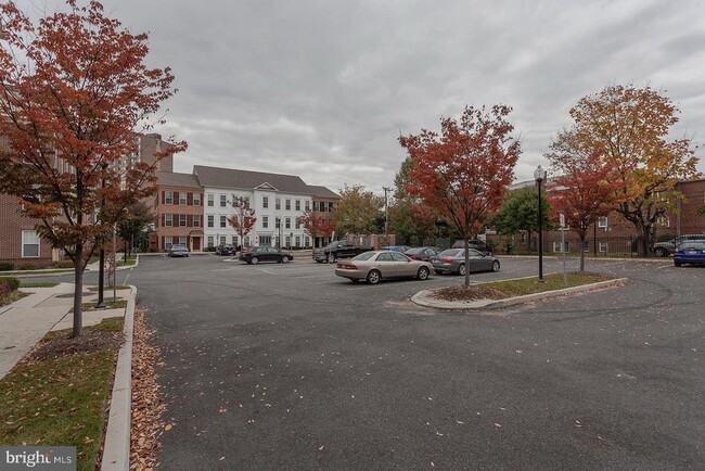 Building Photo - 3941 Old Dominion Blvd