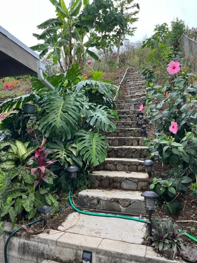 Building Photo - *PET FRIENDLY* - Large 4 bedroom/2 bath Ho...