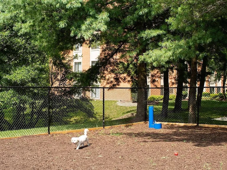 Building Photo - 602 Milldam Ct