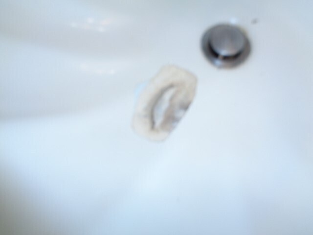 Building Photo - 10211 Golden Sunshine Dr