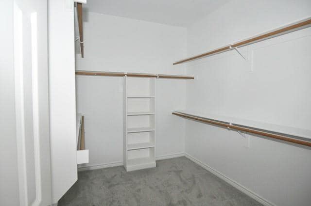 Building Photo - 521 Mustang Ridge Dr