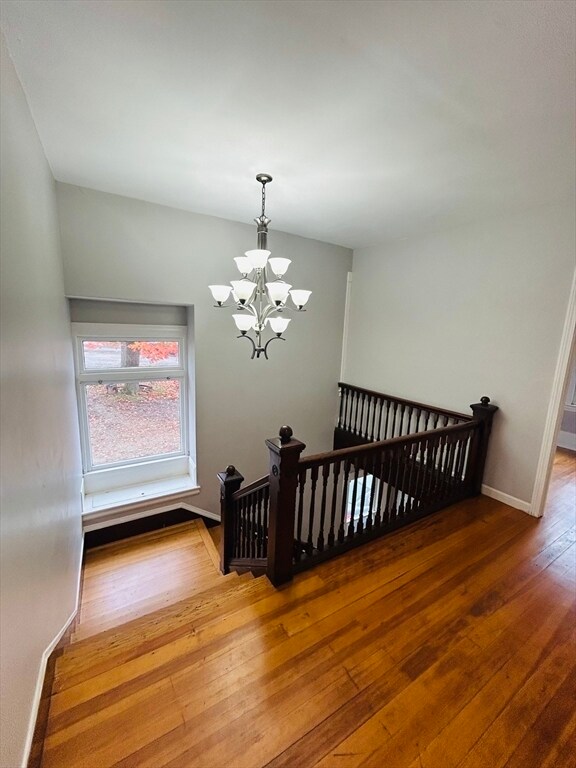 Building Photo - 2 Grout Ct