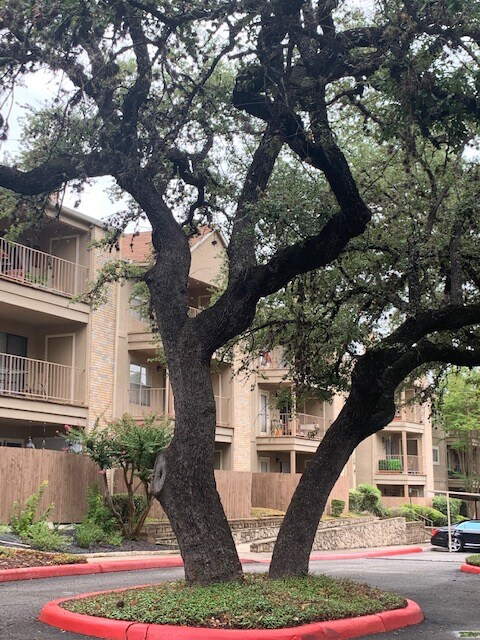 Building Photo - 4119 Medical Dr