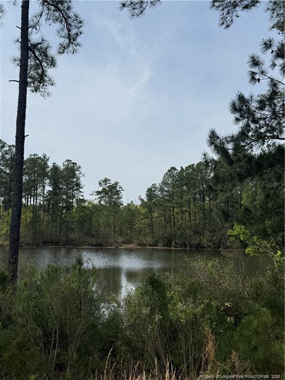 Building Photo - 60 Wildlife Bridge Ct