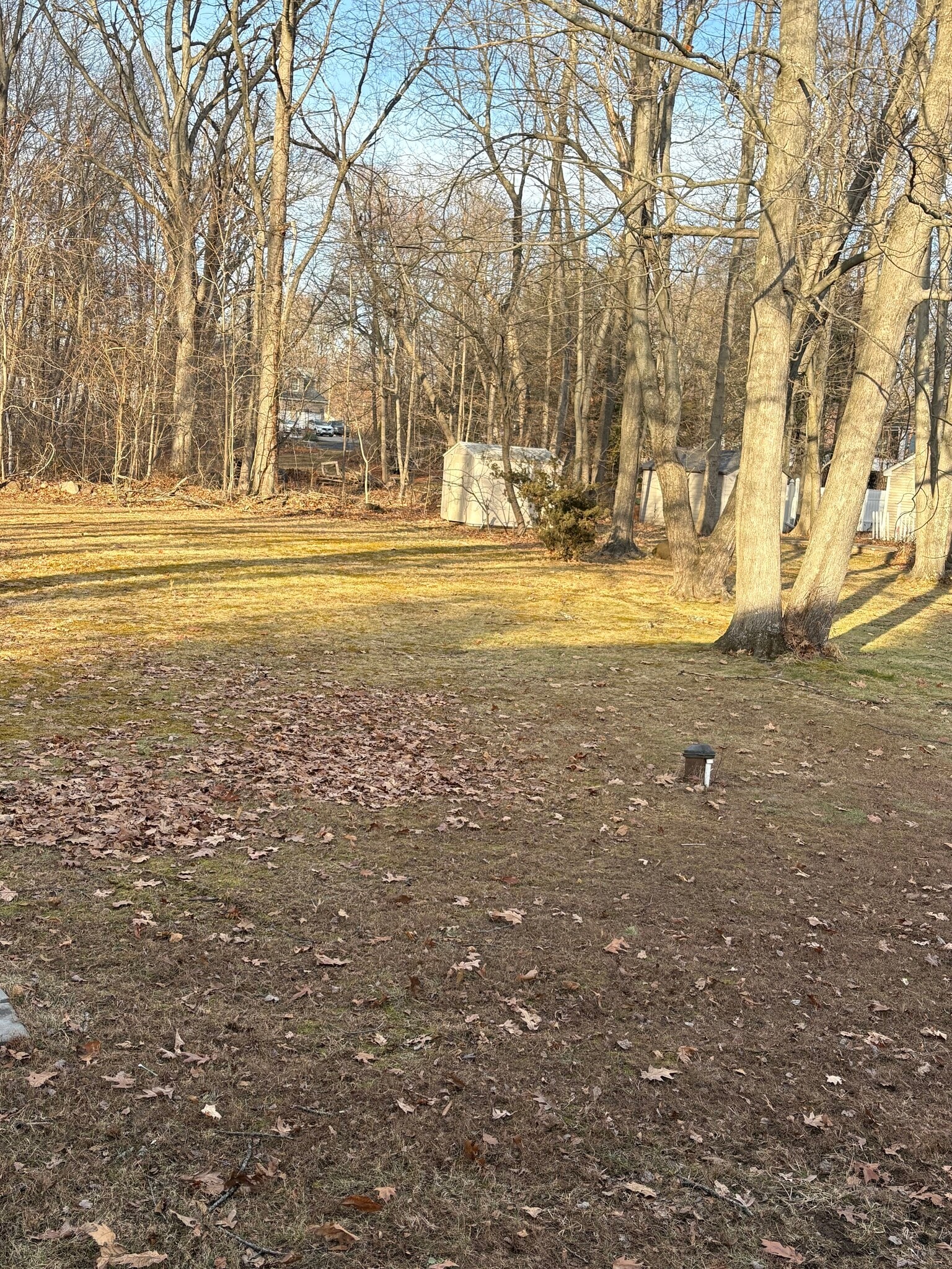 Building Photo - 31 Bishop Ave