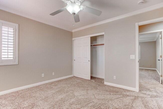 Building Photo - 809 Royal Birch Ln