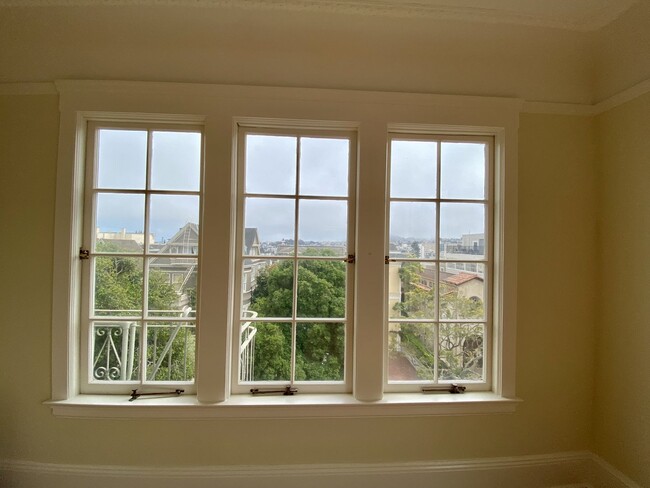 Building Photo - 1BR/1BA Penthouse Level Pacific Heights St...