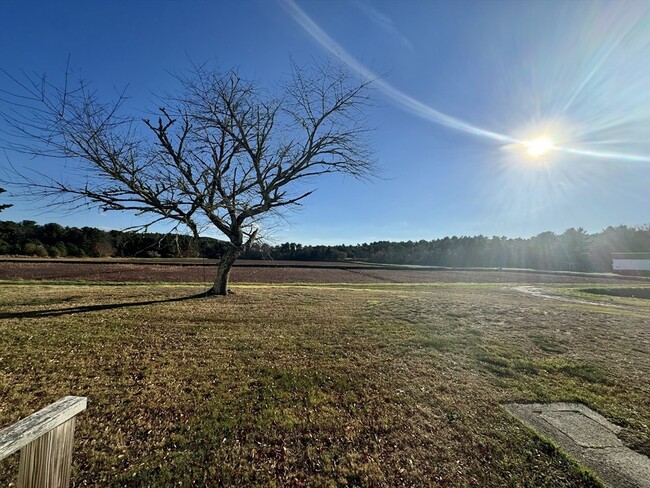 Building Photo - 2667 Cranberry Hwy