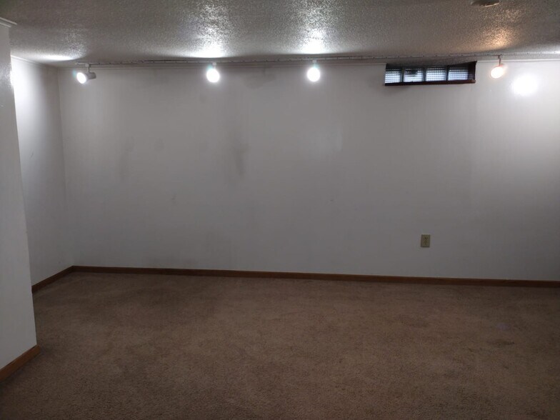 Family room lower level - 7207 Lyndale Ave S