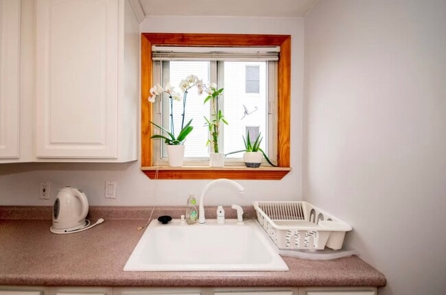 Building Photo - 243 Princeton St