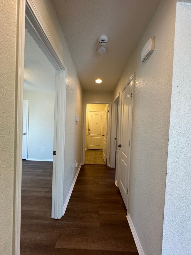 Building Photo - BEAUTIFUL SINGLE STORY HOME  |  CLOSE TO HWY 90 & 1604 | SHOPPING & RESTAURANTS